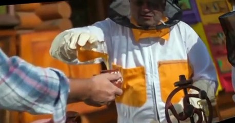 Junior on the Job Junior on the Job E004 Beehive Blast