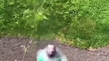 Short Funny Compilation (61)