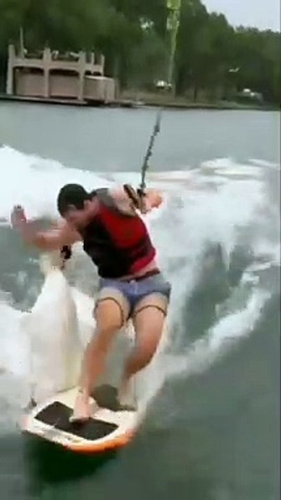 Short Funny Compilation (67)