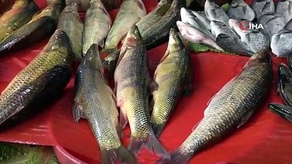 Balıkçı tezgahlarında çeşit arttı, fiyat düştü