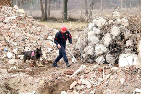 Bozkurt'taki sel felaketinde görev alan Garip , deprem bölgesinde de enkaz altındaki vatandaşların kurtarılmasını sağladı