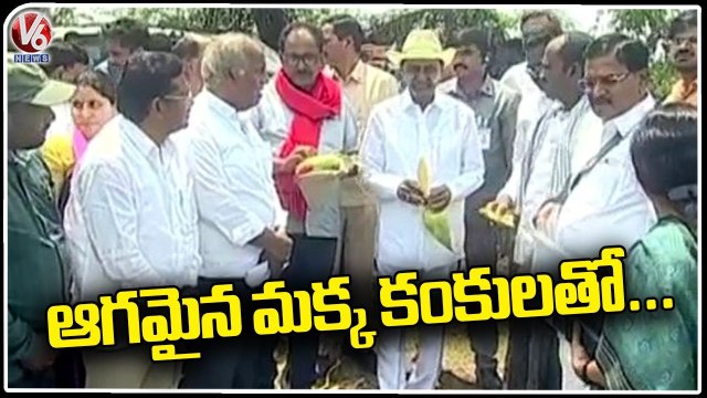 CM KCR Meets Farmers and Inspects Damaged Crop _ Khammam District | V6 News