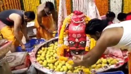 उज्जैन: बाबा महाकाल को लगाया सवाल लाख के 1008 हापुस आम का भोग