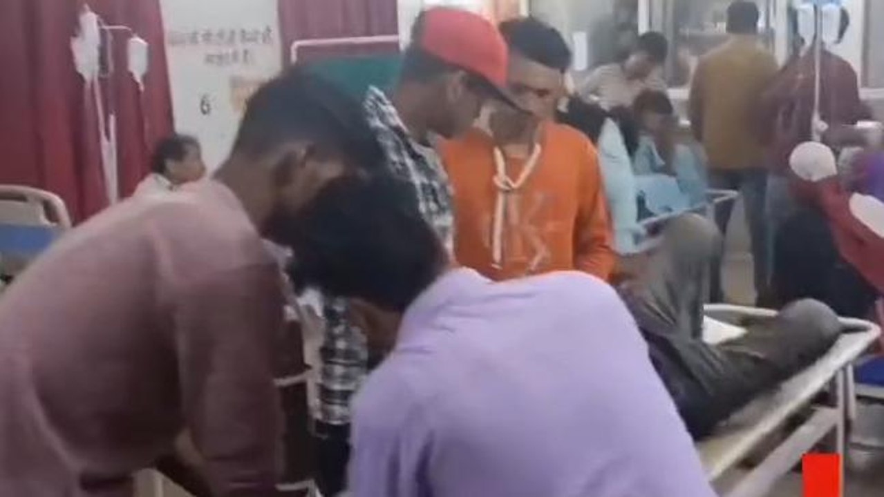 हाथरस: नीलगाय से टकराई तेज रफ्तार बाइक, हादसे में एक युवक हुआ घायल