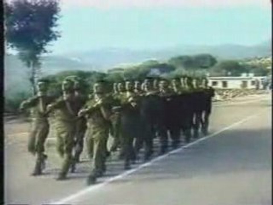 القوات اللبنانية  lebanon liban lebnen