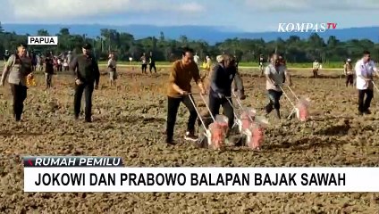 Jokowi dan Prabowo Lomba Bajak Sawah Bersama Petani di Papua