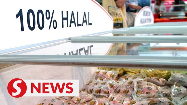 Speed up issuing of halal certificates, says Ahmad Zahid