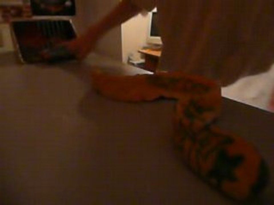 finger skate : Slide sur le SNAKE