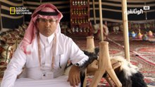 مهرجان الملك عبد العزيز للإبل