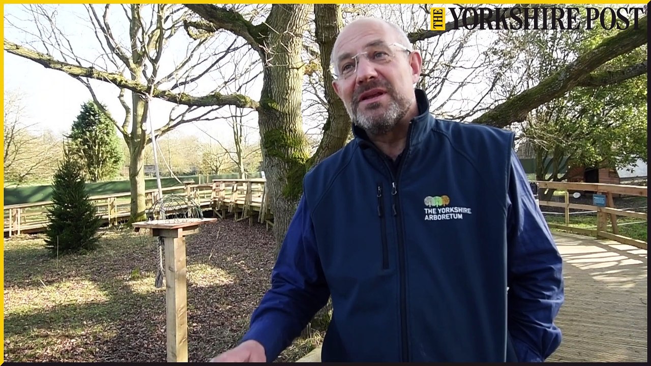 Rare Red Squirrels at the Yorkshire Arboretum as it plans to introduce small breeding group