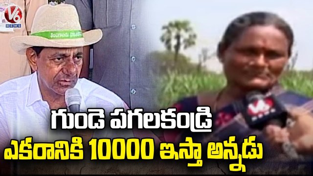 CM KCR Tour Continues In Adavirangapuram In Warangal, Inspects Damaged Crop _ V6 News