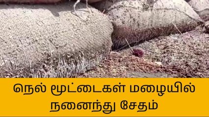 உளுந்தூர்பேட்டையில் நெல் மூட்டைகள் மழையில் நனைந்து சேதம்!