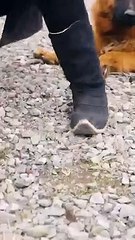 Hero_should_also_serve_his_wife_well_#funnyvideo_#shorts