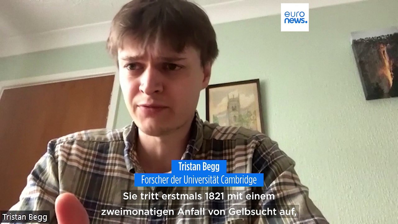 Alkohol und Hepatitis B - Beethoven starb an Leberversagen