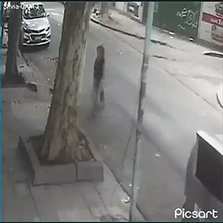 Un policía adoptó a la perrita que una mujer tiró a la basura: “Vamos a darle una buena vida”