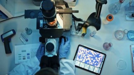 Debellare celiachia e intolleranza a glutine: una sfida possibile