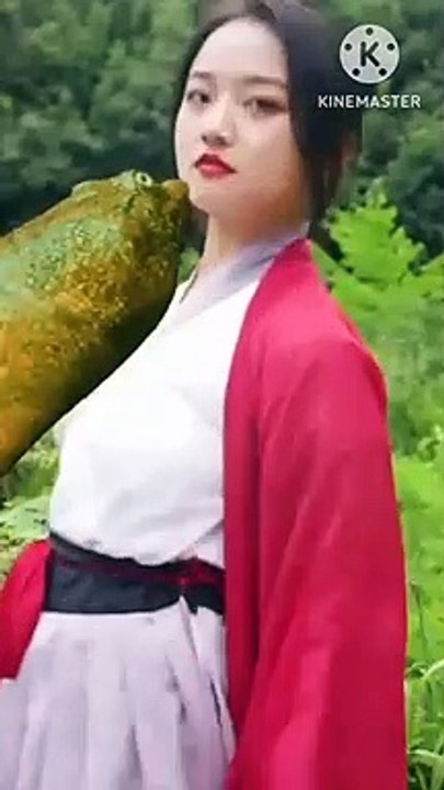 Funny video