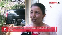 Evinin bahçesini temizledi, hastanelik oldu! Yüzü, boynu, gözleri ve kolları kızarıp kabardı