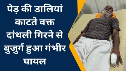 भीलवाड़ा: बकरियों के टहनियां काट रहा वृद्ध कैसे पहुंच गया अस्‍पताल, देखें खबर