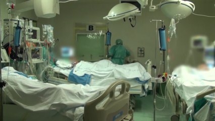 España presenta su primera vacuna contra la COVID-19 🛡️