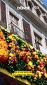 Regresa el Festival de las Flores del Centro Histórico 2023 ¡Flores y muchos colores!