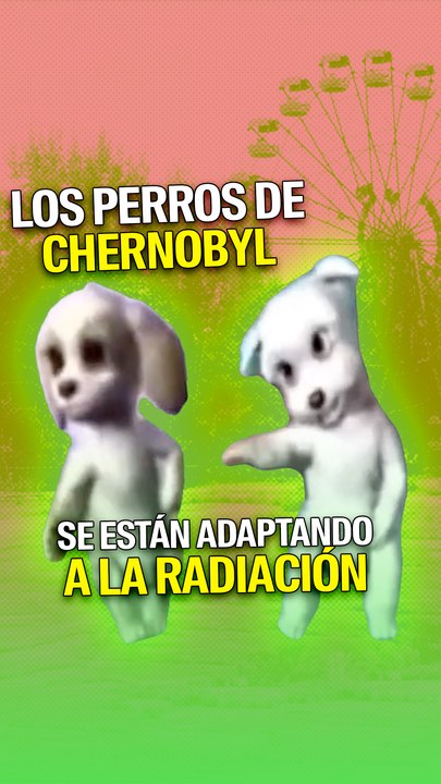 Los perros de Chernobyl se están adaptando a la...