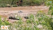 Vecinos y bomberos voluntarios rescataron a un hombre del río Parapetí-Camiri