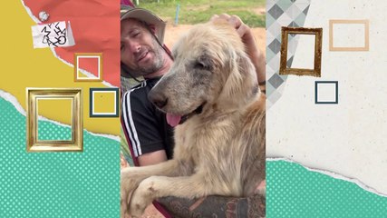 Era alcohólico y después se dedicó a salvar perritos