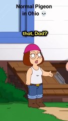 funny cartoon clip | comedy cartoon videos | cartoon network videos | The family guy never disappoints | Cartoon network | Tom and Jerry