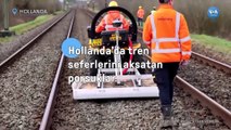 Hollanda’da Tren Seferlerini Aksatan Porsuklar