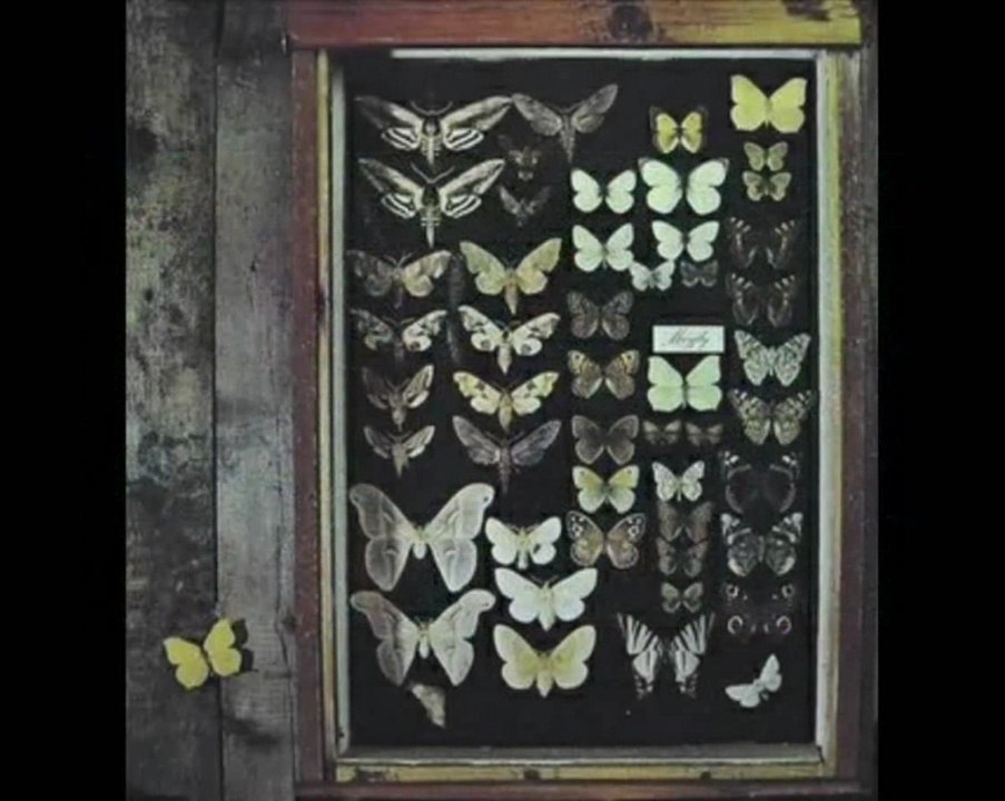 mayfly (formerly guruperide) - second hand dream