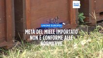 Quasi la metà del miele importato nell'Ue è adulterato
