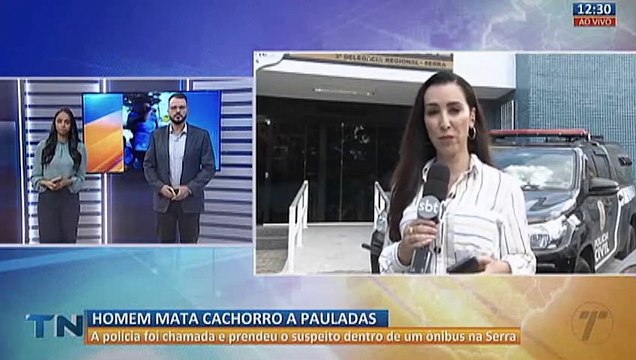 Cachorro é espancado até a morte na Grande Vitória