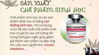 Sinh 10 - Bài 30 Ứng dụng của virus trong y học và thực tiễn