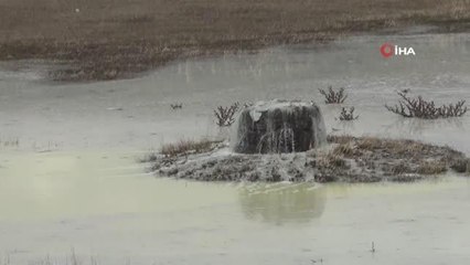Kars'ta peynir altı sularının oluşturduğu gölet etrafa pis koku yayıyor