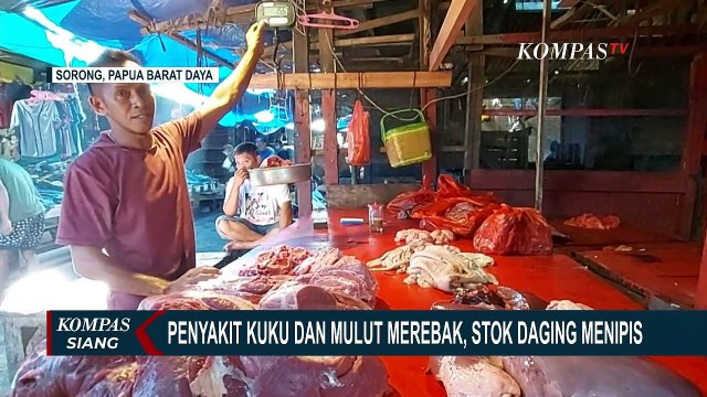 Jadi Mahal! Stok Daging di Sorong Menipis Karena Wabah Penyakit Mulut dan Kuku pada Ternak