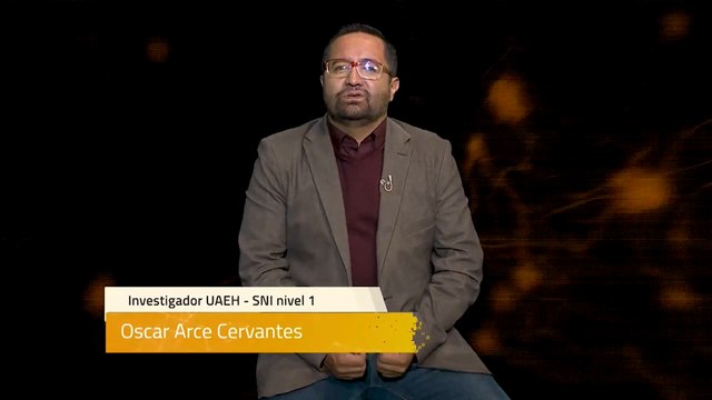 Sinapsis T1 Ep135 | Actividad antioxidante de hongos