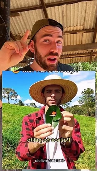 We captured a mutant chicken 