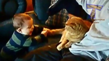 Funny babies annoying cats - Cute cat & baby compilation (2)