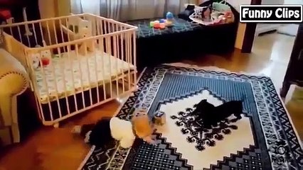 Cats Vine Compilation 2015   Funny and Cute Animals Vine Compilation July 2015