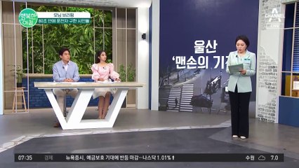 울산에서 일어난 '맨손의 기적' 운전자를 구하기 위해 발 벗고 나선 시민들!