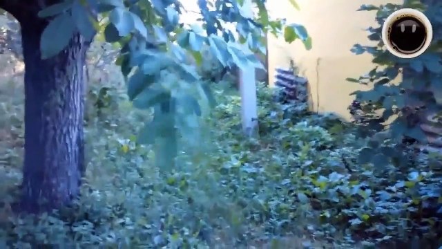 The BEST FUNNY VIDEO Reloading #15 2