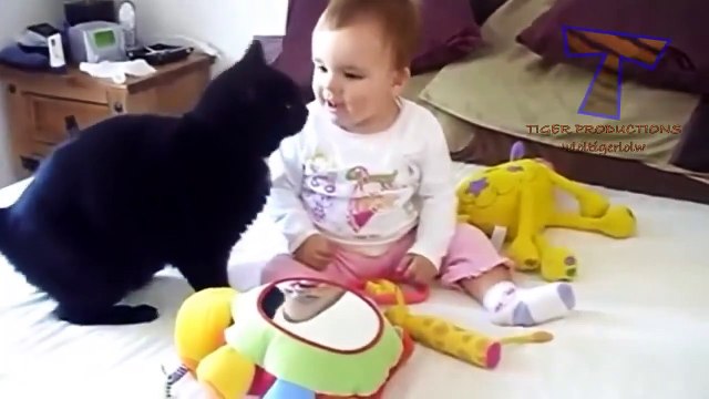 Bản sao của Funny cats and babies playing together Cute cat & baby compilation