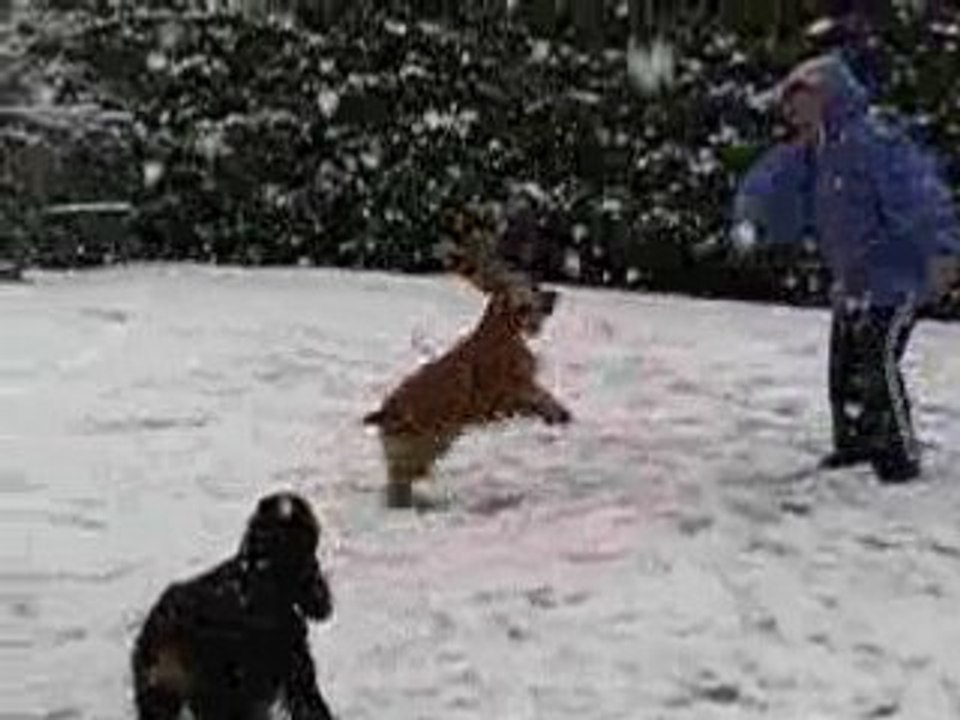 les joies de la neige!