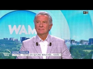 C8 : « C’est foutu ! », terrible arnaque pour William Leymergie, la mise en garde de Brigitte Milh