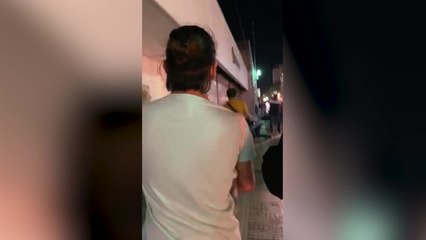 El precio de luchar contra las macrogranjas de cerdos en Yucatán