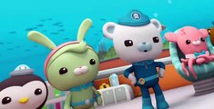 Octonauts: Above & Beyond S02 E011 - 012