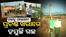 Eco-warriors using waste plastic bottles for drip irrigation in Berhampur