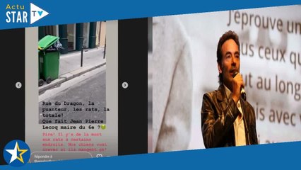 Anthony Delon hors de lui :  “il y a de la mort aux rats ”, l'acteur interpelle sèchement un élu par