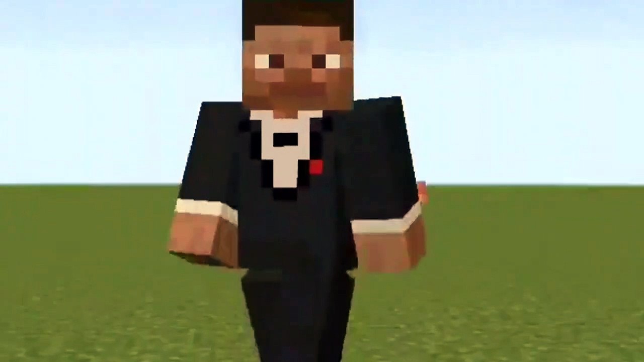 Minecraft Setting Guide | Operator , Visitor , Member , Custom